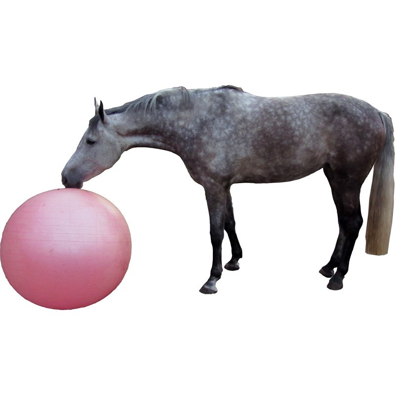 QHP paardenvoetbal roze 100 cm